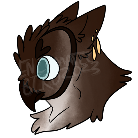 A sooty-faced barn owl headshot with short, fluffy cat-like ears and golden jewelry.