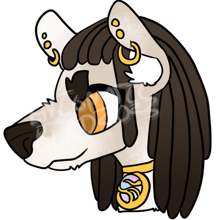 A cloudy-furred dog headshot with brown hair and golden jewelry.