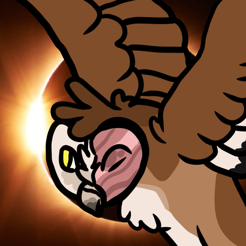 animation by me